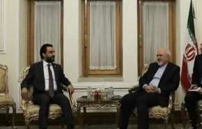 رایزنی ظریف و رئیس مجلس عراق در تهران