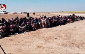 «قسد»  400 عنصر داعش در منطقه الباغوز سوریه را به اسارت گرفت