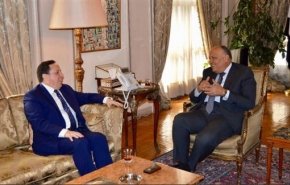 وزيرا خارجية مصر وتونس يؤكدان أهمية تعزيز العمل العربي 
