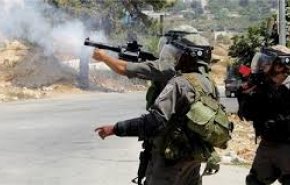 زخمی شدن ۳ جوان فلسطینی به ضرب گلوله نظامیان صهیونیست
