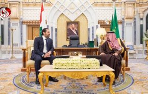 سعد حریری با شاه سعودی دیدار کرد 