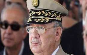 تظاهرات علیه نامزدی مجدد رییس جمهور بیمار الجزائر ادامه دارد/ فرمانده ارتش الجزائر: ارتش و ملت از یکدیگر جدا نیستند