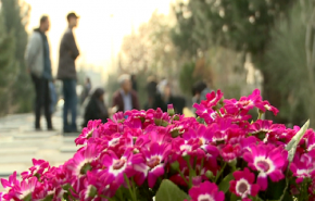 شاهد: هذا ما يقوم به الايرانيون قرب حلول السنة الجديدة