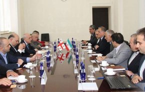 گروه دوستی پارلمانی ایران با مقامات ارشد گرجستان دیدار کرد