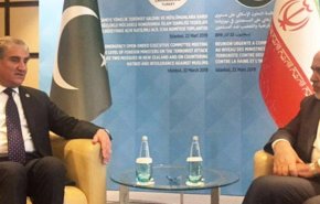 ظریف و همتای پاکستانی در استانبول دیدار و گفتگو کردند