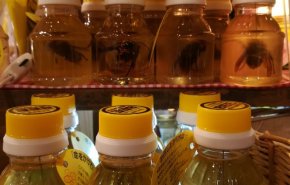 شاهد: عسل بالدبابير الميتة في اليابان يثير الجدل