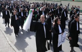 هزاران وکیل در پایتخت الجزایر تظاهرات کردند