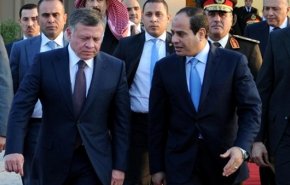السيسى وملك الأردن يتفقان على ضرورة التسوية في سوريا 