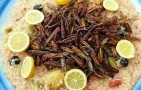 تحذير من خطورة كبيرة لتناول الجراد!