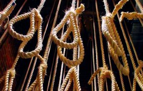 السعودية تحطم الرقم القياسي في الإعدامات وتعلن عن وظائف للجلادين