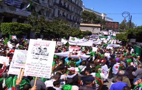 الجزائر.. حشود ضخمة تتظاهر مطالبة بتغيير شامل للنظام الحاكم