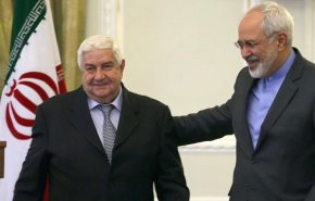 ظریف با وزیر خارجه سوریه دیدار کرد