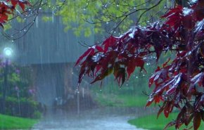 بارش ها در نیمه شمالی کشور شدت می یابد
