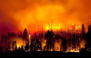 حرائق الغابات تدمر 109 منازل شرق سيبيريا الروسية