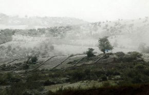 استان مازندران در بهار سفیدپوش شد