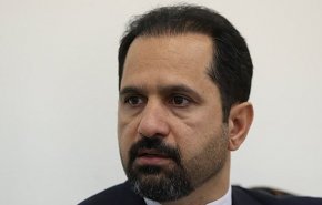 واکنش دستیار وزیر خارجه به اعدام شیعیان در عربستان