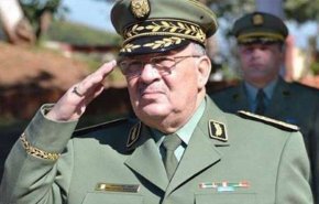 قائد الجيش الجزائري : الانتخابات الرئاسية هي الحل للخروج من الأزمة