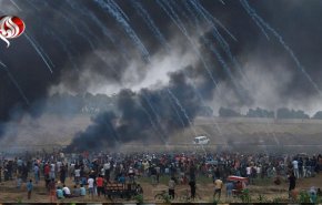 دعوت مصر از حماس و جهاد اسلامی برای بررسی «آتش‌بس» غزه