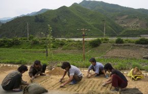 بحران کمبود مواد غذایی در کره شمالی  