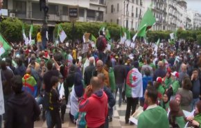 شاهد بالفيديو تطورات جزائرية ساخنة تثلج قلوب المحتجين