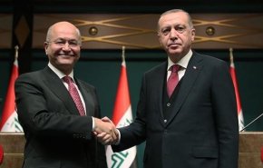 اردوغان و صالح در استانبول دیدار کردند
