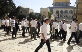 بالفيديو: المستوطنون يحتفلون بضم القدس ويدنسون الاقصى
