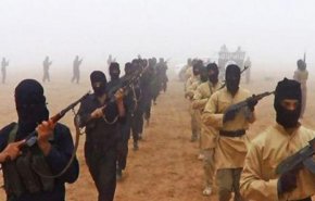 شاهد.. ابرز 5 حقائق عن المجموعات الإرهابية في سيناء
