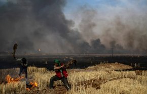 فيديو يكشف مفتعلي الحرائق الزراعية الضخمة في شرق سوريا