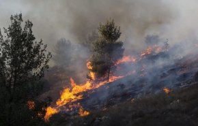 19 مليار ليرة خسائر الحرائق في شمال سوريا