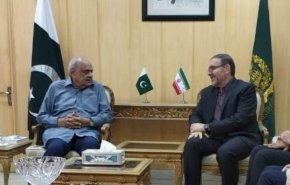 پاکستان: از هیچ تلاشی برای تعمیق همکاری با ایران دریغ نمی کنیم