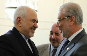 دیدار نایب رئیس مجلس عراق و هیأت همراه با ظریف
