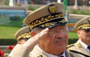 تأکید ارتش الجزائر بر تسریع در برگزاری انتخابات ریاست‌جمهوری
