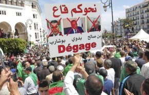 شاهد: احتجاجات الجزائر تحصد المزيد من رموز الفساد