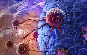 دراسة جديدة.. تدمير الخلايا السرطانية بنجاح!