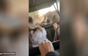 شاهد بالفيديو.. فيل غاضب يطارد السيّاح في وسط الأدغال