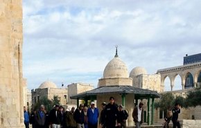 42 مستوطنًا يقتحمون باحات المسجد الأقصى