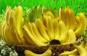  حقائق عن الموز قد تسمع بها للمرة الأولى