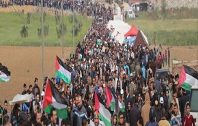 غزة تستعد لدعم وادي الحمص