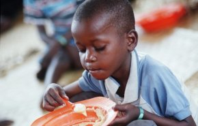 الفاو تشارك في حوار القادة حول الأمن الغذائي في إفريقيا