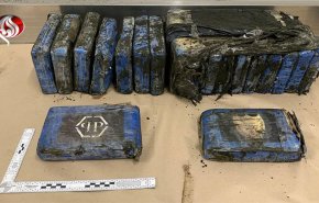 کشف بسته‌‌های کوکائین به ارزش ۲ میلیون دلار در ساحل نیوزیلند