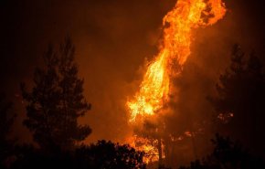 شاهد: كارثة بيئية بجزيرة إيفيا اليونانية بسبب حريق يلتهمها