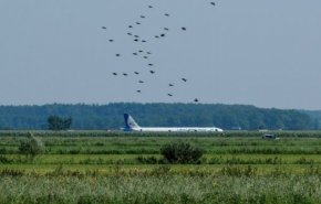 نقاشات ساخنة في روسيا حول إبعاد الطيور عن المطارات
