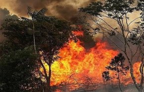 بولسنارو يواجه محنة رئاسته: تدويل كارثة الأمازون 