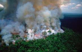 فرنسا تعلن مشاركتها في مكافحة حرائق الأمازون