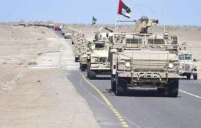 وزیر دولت منصور هادی: خروج امارات از یمن «دروغی بزرگ» است