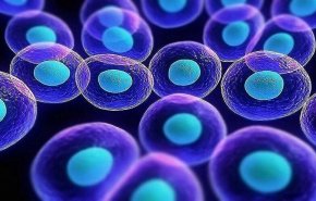 إيران تتقدم 17 مركزا في مؤشر تطوير علوم الخلايا الجذعية