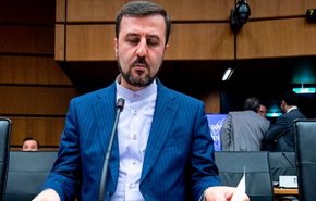 سفیر ایران در آژانس بین‌المللی انرژی اتمی معاون رئیس کنفرانس عمومی از گروه «مزا» شد