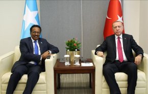 أردوغان يلتقي الرئيس الصومالي في نيويورك