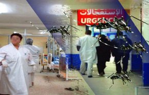 بعوضة النمر تدخل 4 آلاف جزائري إلى المستشفيات