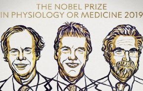 هولاء الثلاثة فازوا بجائزة نوبل الطب لعام 2019